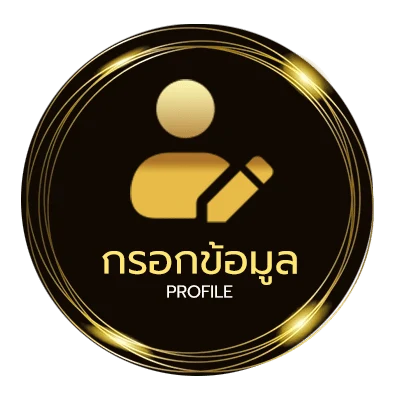 ข้อมูลสมาชิก 13 รับ100 ทํา 300 ถอน 100